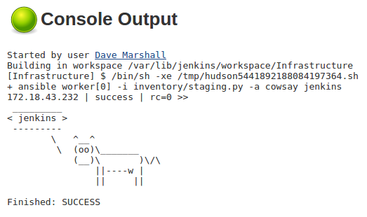 Jenkins console output